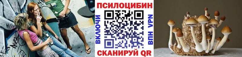 наркотики  Сим  Галлюциногенные грибы мухоморы 